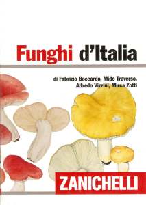 libri/zanichelli11.jpg